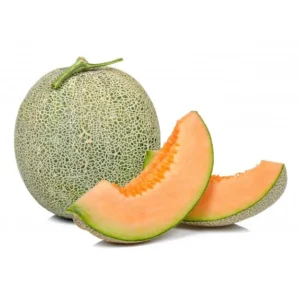 Semillas MELON EDISTO